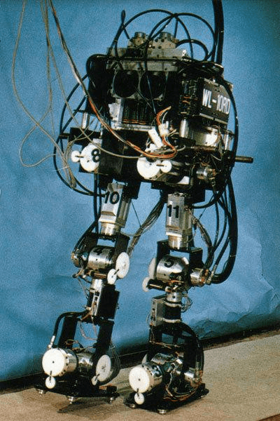 Why Are We Obsessed With Humanoid Robots 