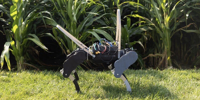 agricultural-quadruped-robot